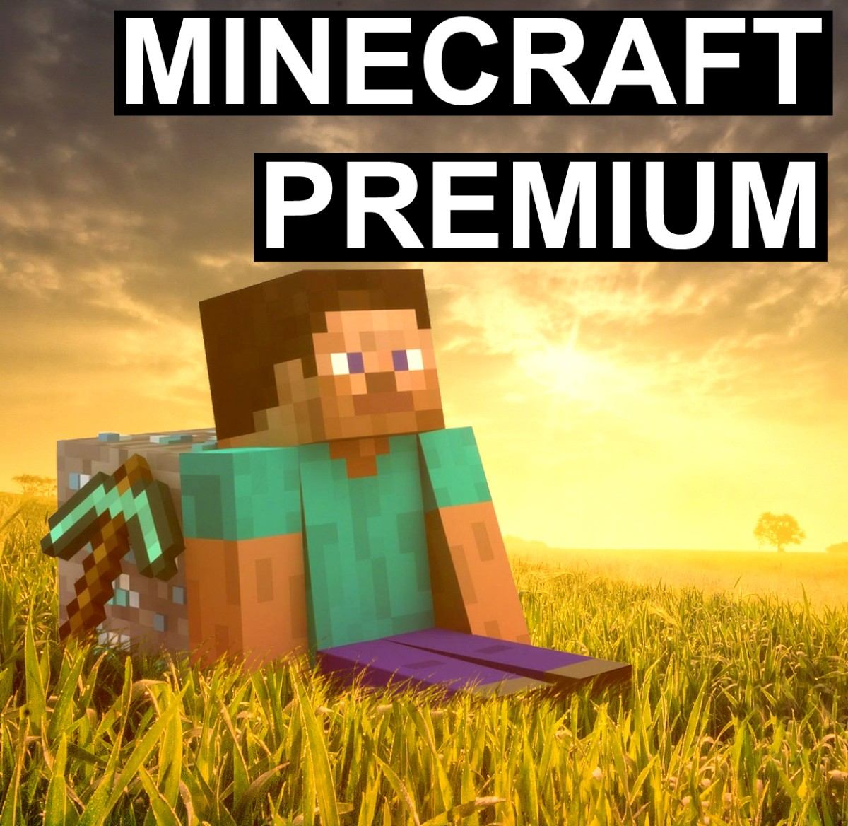 Can you buy minecraft on steam фото 22