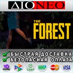 The Forest*Steam*RU*