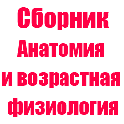 Возрастная анатомия и физиология тесты с ответами