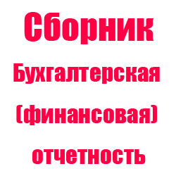 Реферат: Бухгалтерская финансовая отчётность 11