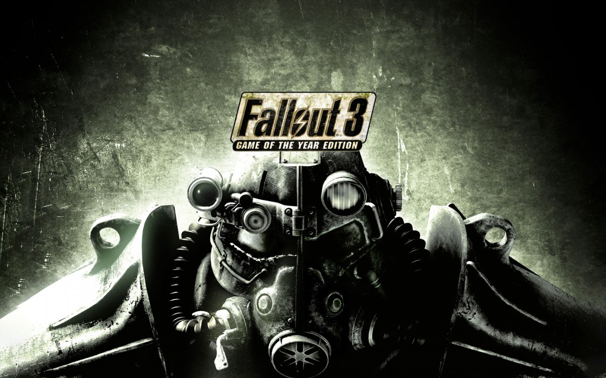 текст для fallout 3 game of the year edition steam фото 1