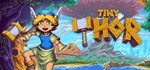 * Tiny Thor | Steam РУ+UA+KZ+СНГ*