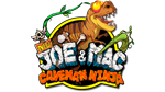 * New Joe & Mac - Caveman Ninja |Steam РУ+UA+KZ+СН