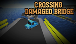 * Crossing Damaged Bridge | Steam РУ+UA+KZ+СНГ*