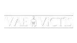 * Vae Victis | Steam РУ+UA+KZ+СНГ*