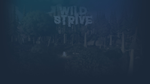 * Wildstrive | Steam РУ+UA+KZ+СНГ*