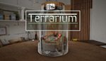 * Terrarium Builder | Steam РУ+UA+KZ+СНГ*