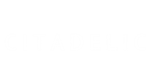 * Citadelic | Steam РУ+UA+KZ+СНГ*