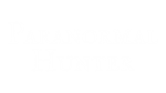 * Paranormal Hunter | Steam РУ+UA+KZ+СНГ*