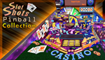 * Slot Shots Pinball Collection | Steam РУ+UA+KZ+СНГ*