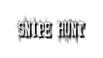 * Snipe Hunt | Steam РУ+UA+KZ+СНГ*