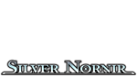 * Silver Nornir | Steam РУ+UA+KZ+СНГ*