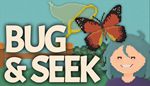 * Bug & Seek | Steam РУ+UA+KZ+СНГ*