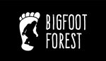 * Bigfoot Forest | Steam РУ+UA+KZ+СНГ*