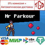 * Mr. Parkour | Steam РУ+UA+KZ+СНГ*