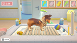 * My Universe - Pet Clinic Cats & Dogs |Steam РУ+С