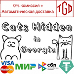 * Cats Hidden in Georgia | Steam РУ+UA+KZ+СНГ*