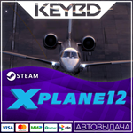 X-Plane 12 * Steam Gift*АВТОДОСТАВКА*0%