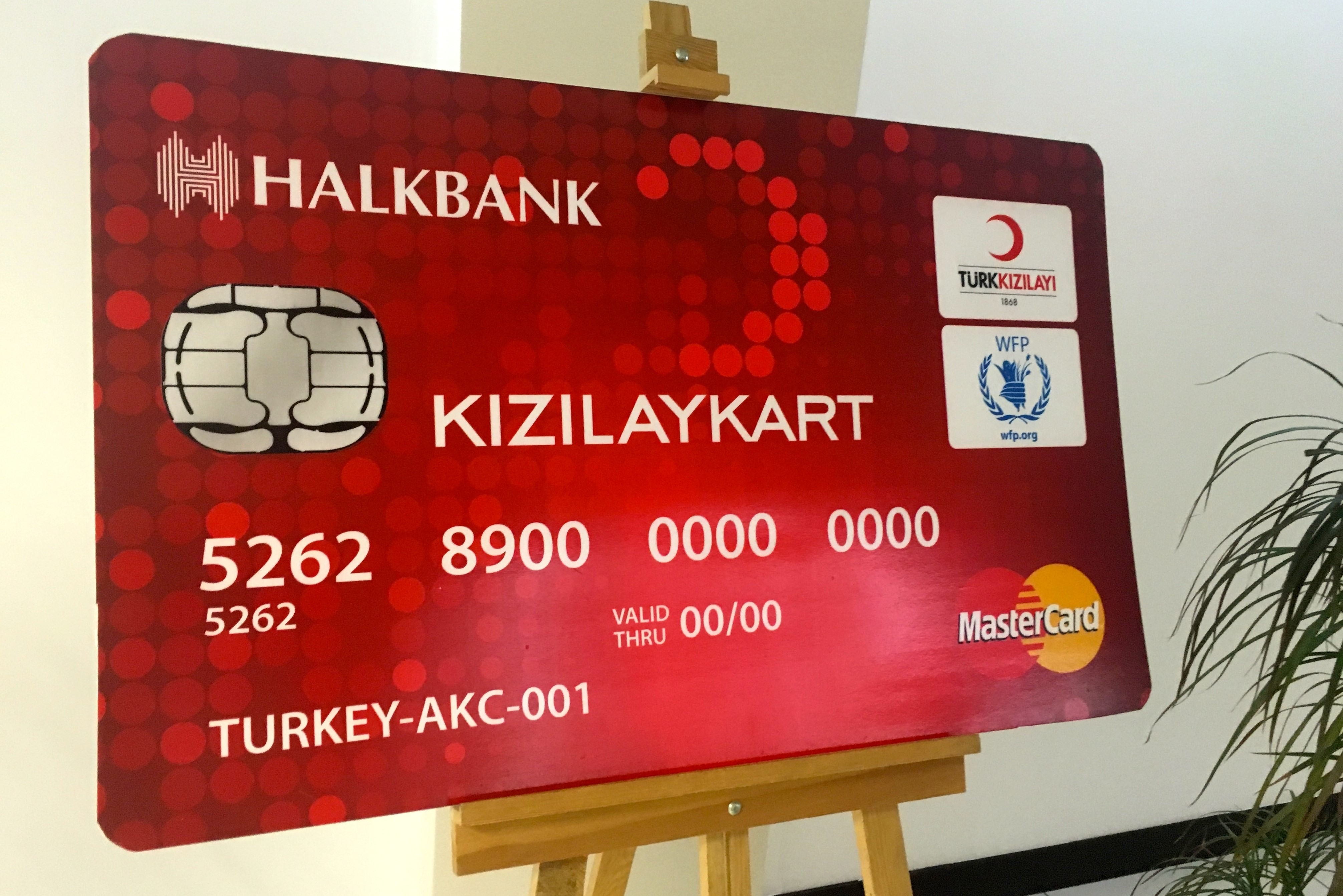 турецкая карта банковская для стима фото 22