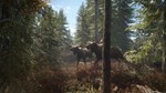 * theHunter: Call of the Wild™ * Steam Gift АВТО