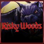 Risky Woods (QUByte Classics) PS4 & PS5