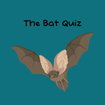 The Bat Quiz PS5