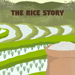 The Rice Story PS5