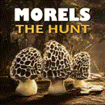 * Morels: The Hunt | Epic Games (EGS) | PC *