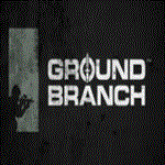 * GROUND BRANCH * STEAM/СТИМ GIFT * ТУРЦИЯ | ПК