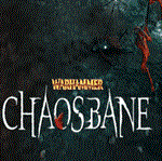 * Warhammer: Chaosbane * STEAM GIFT * ТУРЦИЯ | ПК