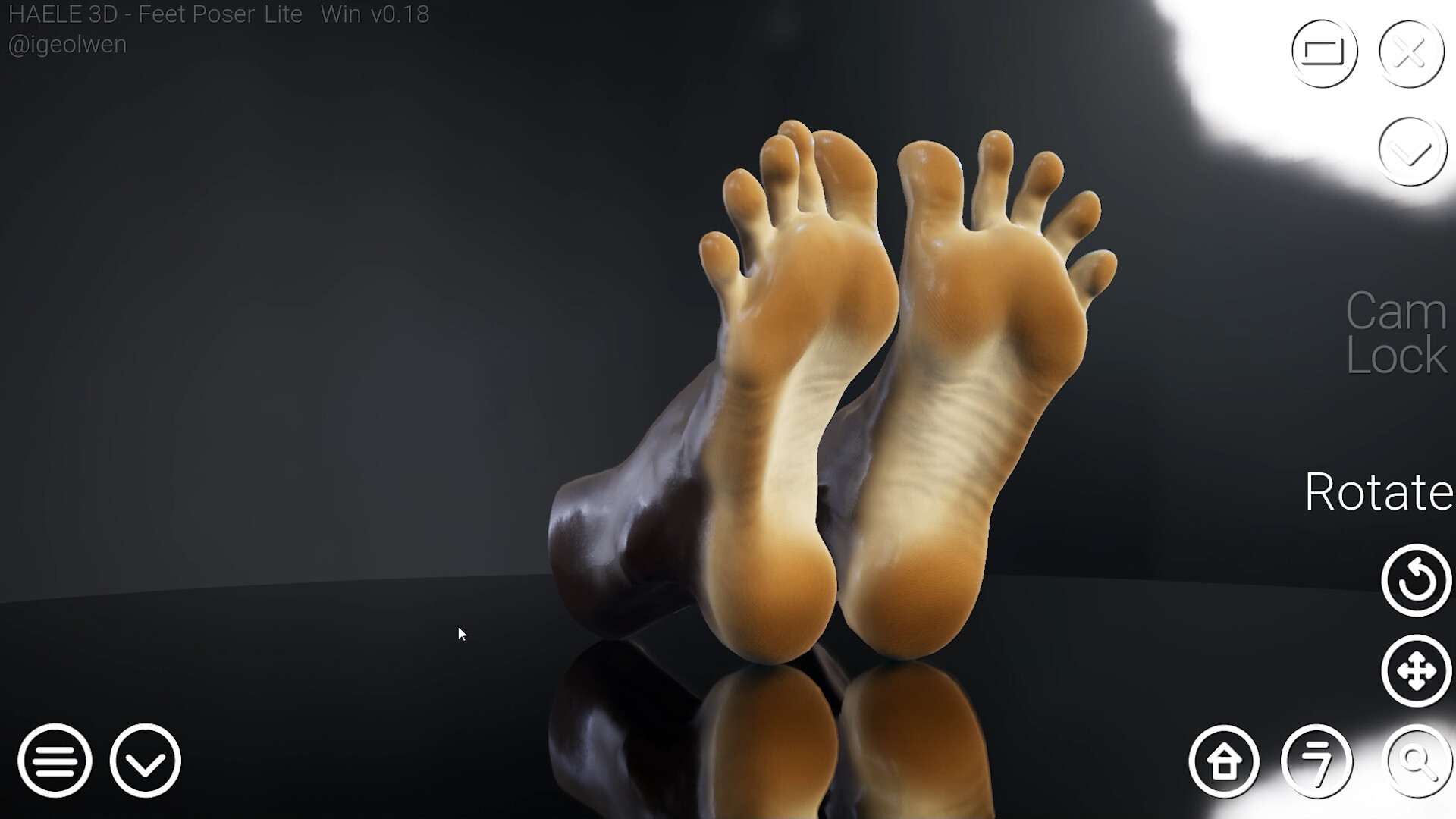 Купить HAELE 3D - Feet Poser Lite🔸STEAM Россия⚡️АВТОДОСТАВКА недорого,  выбор у разных продавцов с разными способами оплаты. Моментальная доставка.