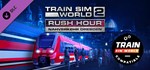 Train Sim World*: Nahverkehr Dresden - Riesa Route Add-