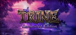 Trine*STEAM Россия**АВТОДОСТАВКА