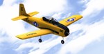 RealFlight Evolution: Upgrade from RealFlight Trainer E