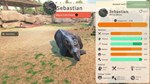 Zoo Simulator*STEAM Россия**АВТОДОСТАВКА