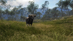 theHunter: Call of the Wild™ - Emerald Coast Australia 