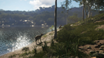 theHunter: Call of the Wild™ - Emerald Coast Australia 