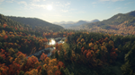 theHunter: Call of the Wild™ - New England Mountains DL