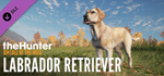 theHunter: Call of the Wild™ - Labrador Retriever DLC