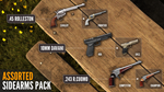 theHunter: Call of the Wild™ - Assorted Sidearms Pack D