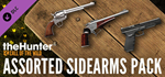 theHunter: Call of the Wild™ - Assorted Sidearms Pack D