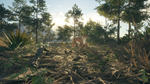 theHunter: Call of the Wild™ - Rancho del Arroyo DLC