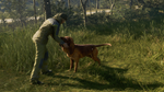 theHunter: Call of the Wild™ - Bloodhound DLC*STEAM