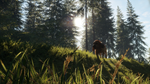 theHunter: Call of the Wild™ - Bloodhound DLC*STEAM