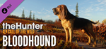 theHunter: Call of the Wild™ - Bloodhound DLC*STEAM