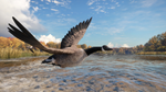 theHunter: Call of the Wild™ - Wild Goose Chase Gear DL