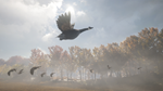 theHunter: Call of the Wild™ - Wild Goose Chase Gear DL