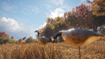 theHunter: Call of the Wild™ - Wild Goose Chase Gear DL