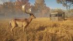 theHunter: Call of the Wild™ - Tents & Ground Blinds DL