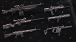 Insurgency: Sandstorm - Desert Veteran Weapon Skin Set 